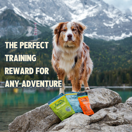 Chewy Low Calorie Dog Treats 3 Pack Bundle